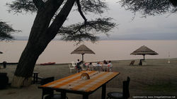 Luxury Beachside Restaurant