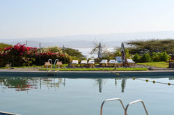 Breathtaking Poolside Views